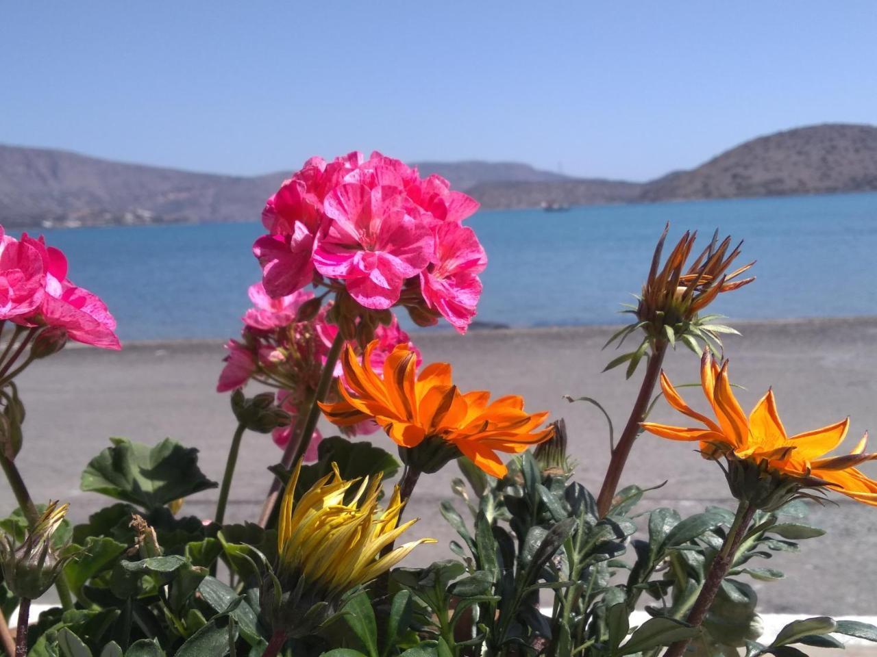 Appartamento Hiona Seaside Elounda Esterno foto
